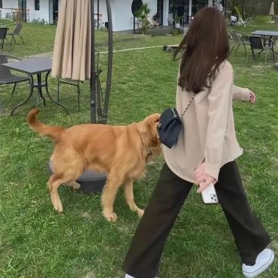 特技玩家